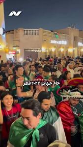 بررسی اثر زیست محیطی دو دهه جامجهانی/ پولسازترین جام چقدر برای زمین هزینه داشته است؟