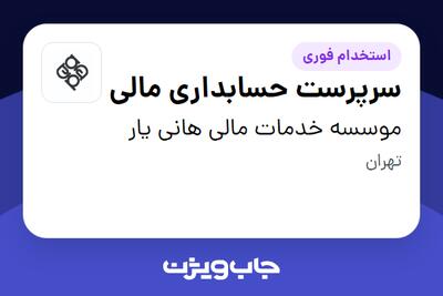 استخدام سرپرست حسابداری مالی در موسسه خدمات مالی هانی یار
