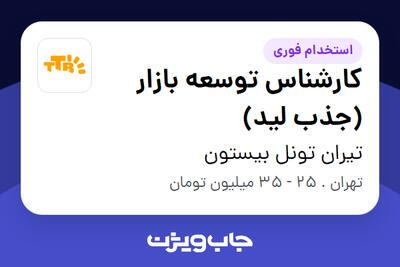  استخدام کارشناس توسعه بازار (جذب لید) در تیران تونل بیستون