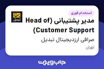  استخدام مدیر پشتیبانی (Head of Customer Support) در صرافی ارزدیجیتال تبدیل