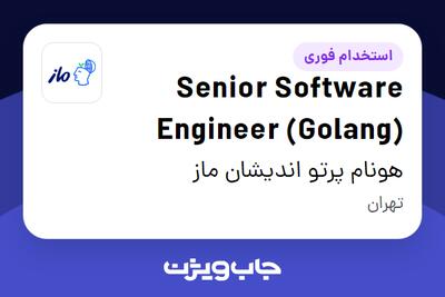 استخدام Senior Software Engineer (Golang) در هونام پرتو اندیشان ماز
