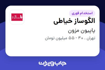  استخدام الگوساز خیاطی در پاپیون مزون