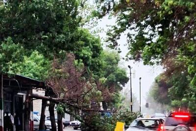  قطع برق ۵۳ هزار خانه در فرانسه بر اثر طوفان