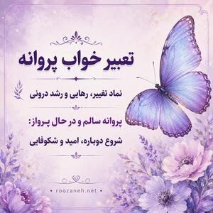 تعبیر خواب پروانه؛ معنی پروانه سفید، سیاه، رنگی، مرده و در خانه
