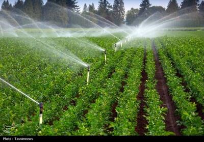  آب در مسیر توسعه؛ اجرای پروژه آبیاری نوین سیروان شتاب گرفت - تسنیم