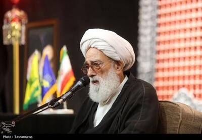  اطاعت از رهبری و حفظ انسجام مهم‌ترین راه خنثی‌سازی توطئه‌هاست - تسنیم