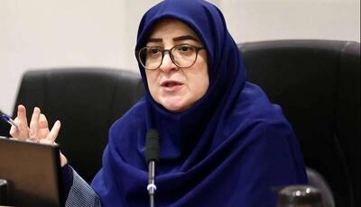 سخنگوی دولت وارد بوشهر شد