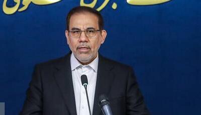 توضیحات سخنگوی دستگاه قضا درباره آخرین وضعیت پرونده رضا پهلوی و عوامل رسانههای اینترنشنال و منوتو