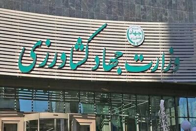 پاسخ وزارت جهاد کشاورزی به گزارش برنا درباره واردات غلات و هاب غذایی