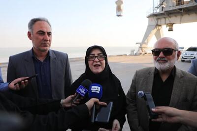  سخنگوی دولت: حمله به پتروشیمی‌ها حمله به زندگی مردم است / تامین منابع بازسازی واحدهای آسیب‌دیده در دستور کار دولت است