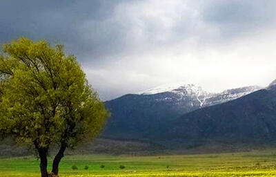  وزش باد اردبیل را در می نوردد
