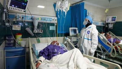  درمان حیوان‌گزیدگی کاملاً رایگان است