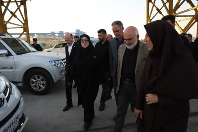  سخنگوی دولت: موفقیت در تامین کالاهای اساسی نتیجه کار تیمی است