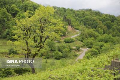 استقرار سیستمهای پایش پیشرفته مناطق تحت مدیریت لرستان