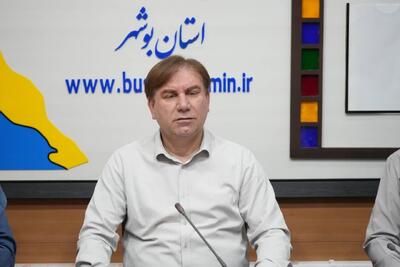  استاندار بوشهر: خدمات غیرحضوری تأمین اجتماعی در استان توسعه یابد