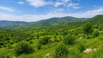 بازپس گیری ۱.۵ هکتار اراضی ملی در شهرستان لنگرود
