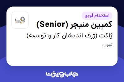 استخدام کمپین منیجر (Senior) در ژاکت (ژرف اندیشان کار و توسعه)