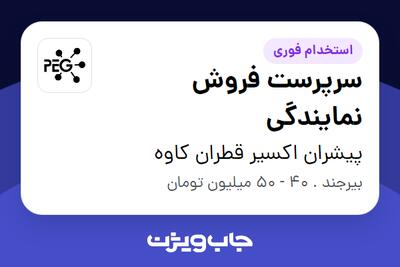  استخدام سرپرست فروش نمایندگی - آقا در پیشران اکسیر قطران کاوه