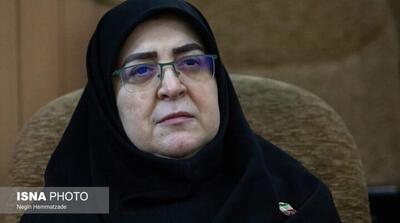 سخنگوی دولت: صنعت پتروشیمی هدف حملات دشمن قرار گرفت چون در زندگی مردم نقش دارد - مردم سالاری آنلاین