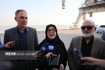  مهاجرانی: تا پای جان برای حفظ هویت ایرانی خواهیم جنگید
