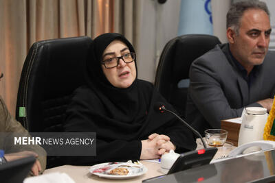 بازسازی شرکتهای آسیبدیده با تمام توان دولت دنبال میشود
