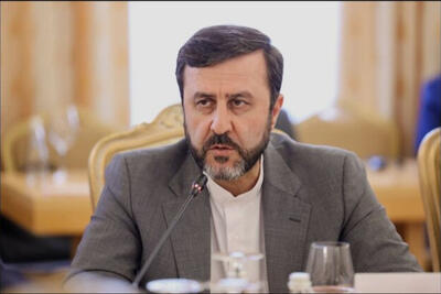 غریبآبادی: پیگیر خسارت جنگها هستیم + فیلم
