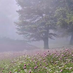  درفک و خلخال دو چهره زیبای ایران