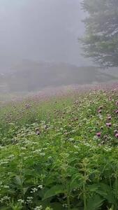  فیلم از سرزمین زیبای بام بهشت درفک