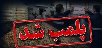  با متخلفان حوزه نان بدون اغماض برخورد می‌شود/ پلمب دو واحد نانوایی متخلف در سمنان