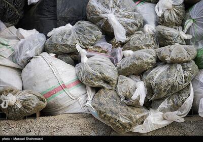  کشف بیش از 250 کیلو انواع مواد مخدر در آذربایجان غربی - تسنیم