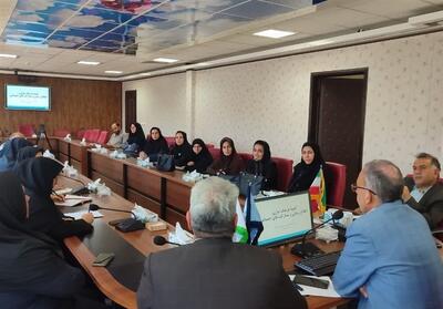 پایش میدانی اجرای پزشکی خانواده و نظام ارجاع در شهرستان قائن - تسنیم