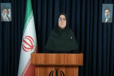 سخنگوی دولت: صنعت پتروشیمی هدف حملات دشمن قرار گرفت