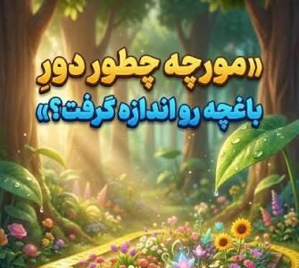  وقتی یک مورچه تصمیم می‌گیرد باغچه‌اش را اندازه بگیرد…