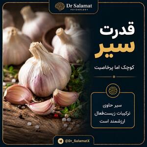  سیر؛ فراتر از یک چاشنی غذایی