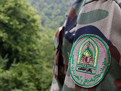 تغییر راهبرد حفاظت از جنگلهای شمال
