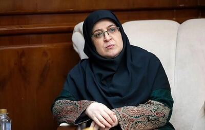  سخنگوی دولت وارد بوشهر شد