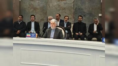  صالحی: فرهنگ جایگزین حقیقی خشونت و یک‌جانبه گرایی است