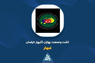  توضیح «غبهار» در خصوص تغییر سود عملیاتی