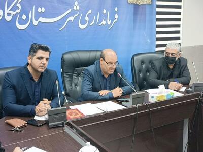 نظارت بر توزیع آرد روستایی در کنگاور با هدف جلوگیری از سوءاستفادهها تشدید میشود