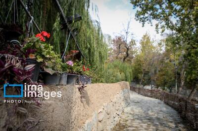 جای خالی «اکوپارک» در سمنان «پایتخت تنوع زیستی ایران»