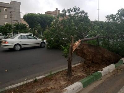 آمادهباش نارنجی در تهران؛ طوفان گرد و خاک در راه پایتخت