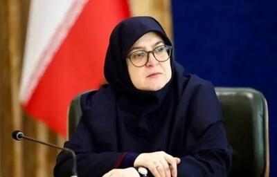  سخنگوی دولت: بازسازی مناطق آسیب‌دیده بوشهر با جدیت دنبال می‌شود