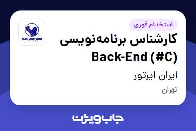  استخدام کارشناس برنامه‌نویسی Back-End (#C) در ایران ایرتور