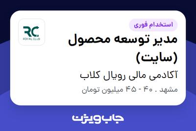 استخدام مدیر توسعه محصول (سایت) در آکادمی مالی رویال کلاب