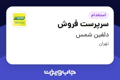  استخدام سرپرست فروش در دلفین شمس