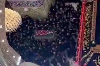  فیلم/ گل به طریقه گلاب ادامه دارد...