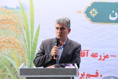 پیشبینی برداشت مکانیزه ۲۱۷ هزار هکتار از شالیزارهای گیلان