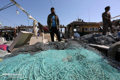  یگان‌های حفاظت شمال برای مقابله با صید غیرمجاز تقویت می‌شود
