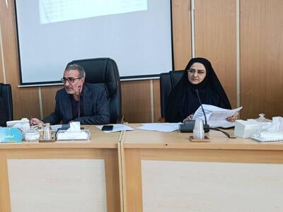  هدفگذاری پرداخت ۲۰ هزار فقره تسهیلات جوانی جمعیت و ازدواج در سال ۱۴۰۶