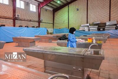  صرف مرگ زیر ۲۴ ساعت در بیمارستان، دلیلی برای ارجاع جسد به پزشکی قانونی نیست